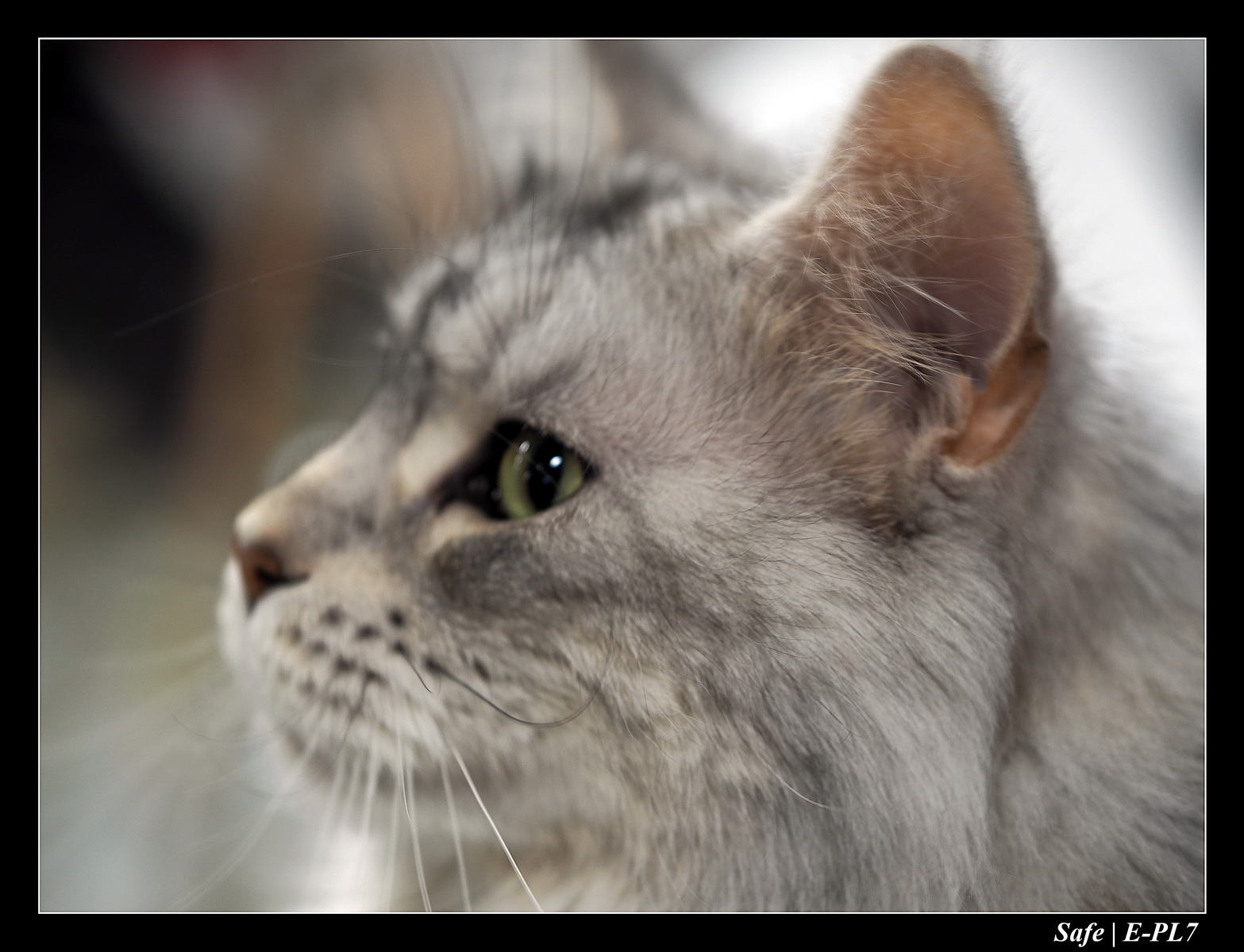 2020 - 02 - Salon agriculture 28